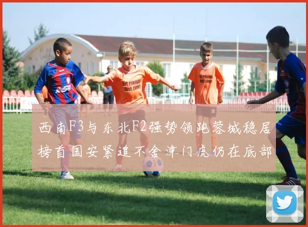 西南F3与东北F2强势领跑蓉城稳居榜首国安紧追不舍津门虎仍在底部挣扎