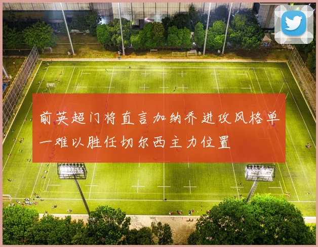 前英超门将直言加纳乔进攻风格单一难以胜任切尔西主力位置